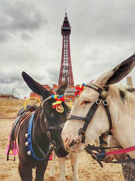 Blackpool Beach